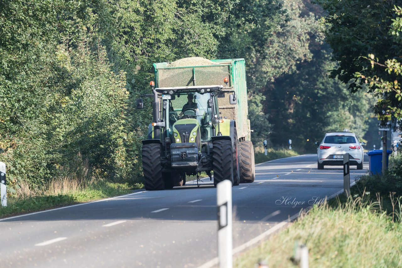 Bild 168 - Maisernte